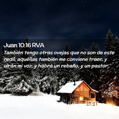Picture 02 - Juan 10:16 RVA - También tengo otras ovejas que no son de este - Bible Verse Picture