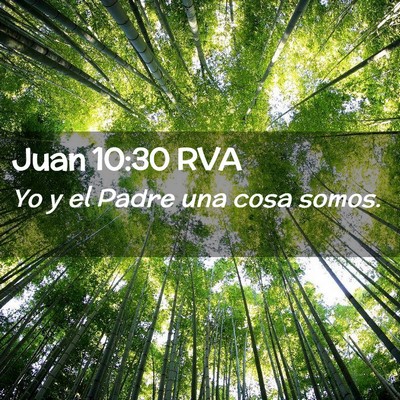 Picture 02 - Juan 10:30 RVA - Yo y el Padre una cosa - Bible Verse Picture