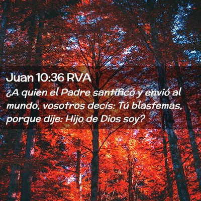 Picture 02 - Juan 10:36 RVA - ¿A quien el Padre santificó y envió al mundo, - Bible Verse Picture