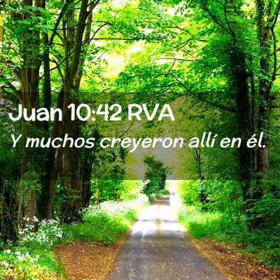 Picture 02 - Juan 10:42 RVA - Y muchos creyeron allí en - Bible Verse Picture