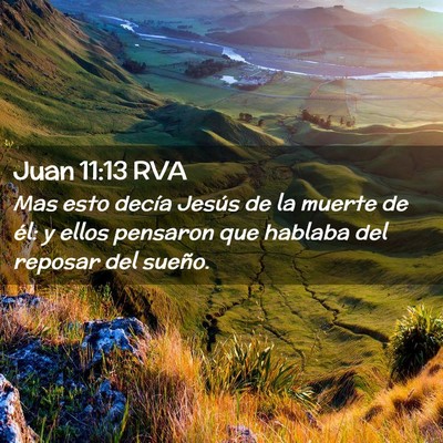 Picture 02 - Juan 11:13 RVA - Mas esto decía Jesús de la muerte de él: y - Bible Verse Picture