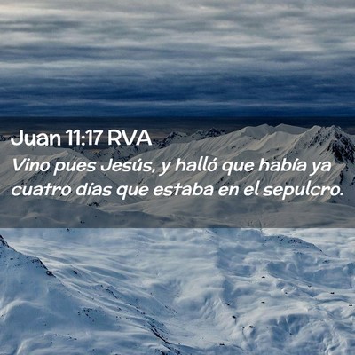 Picture 02 - Juan 11:17 RVA - Vino pues Jesús, y halló que había ya cuatro - Bible Verse Picture