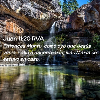 Picture 02 - Juan 11:20 RVA - Entonces Marta, como oyó que Jesús venía, - Bible Verse Picture