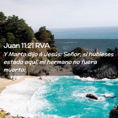 Picture 02 - Juan 11:21 RVA - Y Marta dijo á Jesús: Señor, si hubieses - Bible Verse Picture