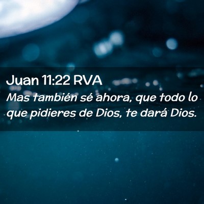 Picture 02 - Juan 11:22 RVA - Mas también sé ahora, que todo lo que pidieres - Bible Verse Picture