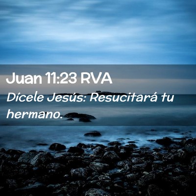 Picture 02 - Juan 11:23 RVA - Dícele Jesús: Resucitará tu - Bible Verse Picture