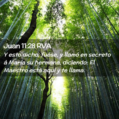 Picture 02 - Juan 11:28 RVA - Y esto dicho, fuése, y llamó en secreto á - Bible Verse Picture
