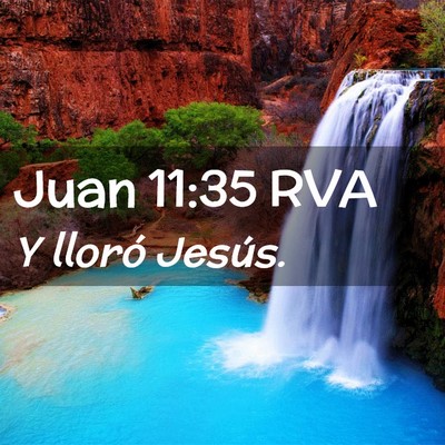Picture 02 - Juan 11:35 RVA - Y lloró - Bible Verse Picture