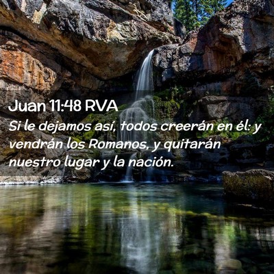 Picture 02 - Juan 11:48 RVA - Si le dejamos así, todos creerán en él: y - Bible Verse Picture
