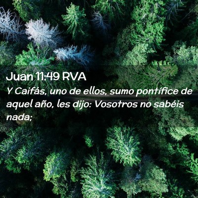 Picture 02 - Juan 11:49 RVA - Y Caifás, uno de ellos, sumo pontífice de aquel - Bible Verse Picture