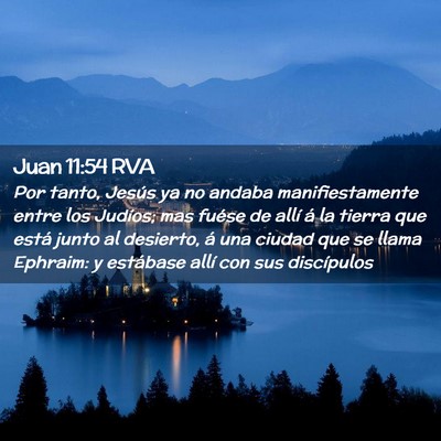 Picture 02 - Juan 11:54 RVA - Por tanto, Jesús ya no andaba manifiestamente - Bible Verse Picture