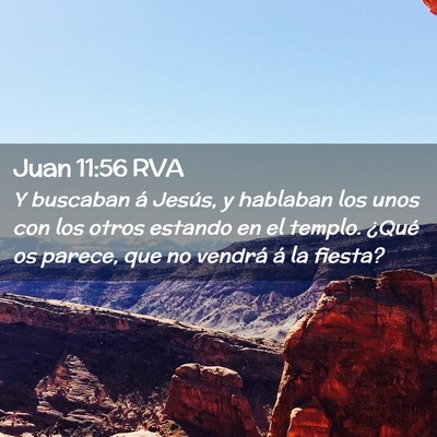 Picture 02 - Juan 11:56 RVA - Y buscaban á Jesús, y hablaban los unos con los - Bible Verse Picture