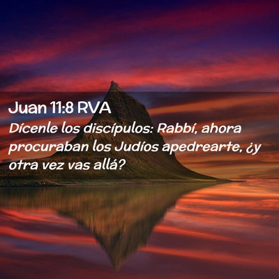 Picture 02 - Juan 11:8 RVA - Dícenle los discípulos: Rabbí, ahora - Bible Verse Picture