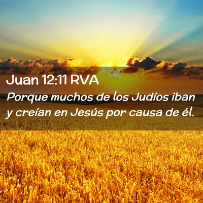 Picture 02 - Juan 12:11 RVA - Porque muchos de los Judíos iban y creían en - Bible Verse Picture