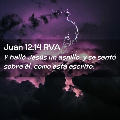 Picture 02 - Juan 12:14 RVA - Y halló Jesús un asnillo, y se sentó sobre - Bible Verse Picture