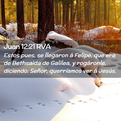 Picture 02 - Juan 12:21 RVA - Estos pues, se llegaron á Felipe, que era de - Bible Verse Picture