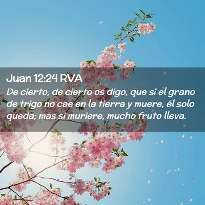Picture 02 - Juan 12:24 RVA - De cierto, de cierto os digo, que si el grano de - Bible Verse Picture