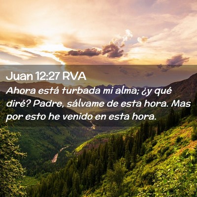 Picture 02 - Juan 12:27 RVA - Ahora está turbada mi alma; ¿y qué diré? - Bible Verse Picture