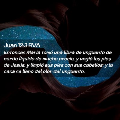 Picture 02 - Juan 12:3 RVA - Entonces María tomó una libra de ungüento de - Bible Verse Picture