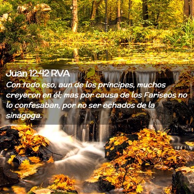 Picture 02 - Juan 12:42 RVA - Con todo eso, aun de los príncipes, muchos - Bible Verse Picture