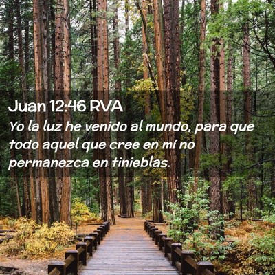 Picture 02 - Juan 12:46 RVA - Yo la luz he venido al mundo, para que todo aquel - Bible Verse Picture
