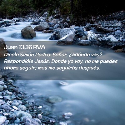 Picture 02 - Juan 13:36 RVA - Dícele Simón Pedro: Señor, ¿adónde vas? - Bible Verse Picture