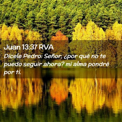 Picture 02 - Juan 13:37 RVA - Dícele Pedro: Señor, ¿por qué no te puedo - Bible Verse Picture