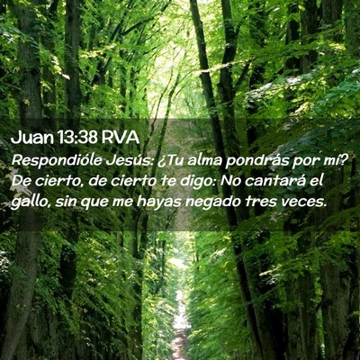 Picture 02 - Juan 13:38 RVA - Respondióle Jesús: ¿Tu alma pondrás por mí? - Bible Verse Picture