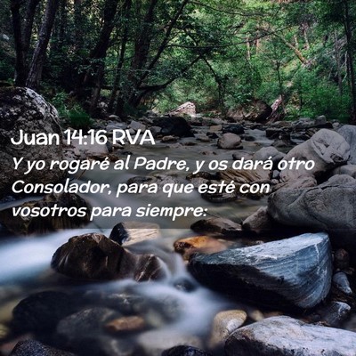 Picture 02 - Juan 14:16 RVA - Y yo rogaré al Padre, y os dará otro - Bible Verse Picture