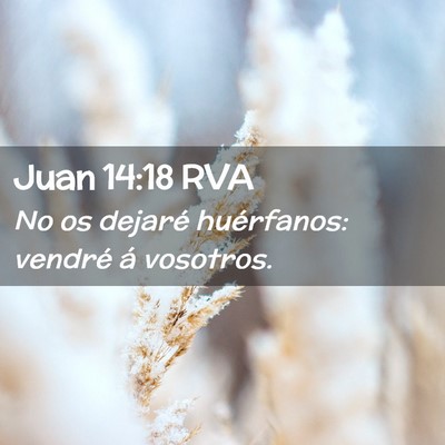 Picture 02 - Juan 14:18 RVA - No os dejaré huérfanos: vendré á - Bible Verse Picture