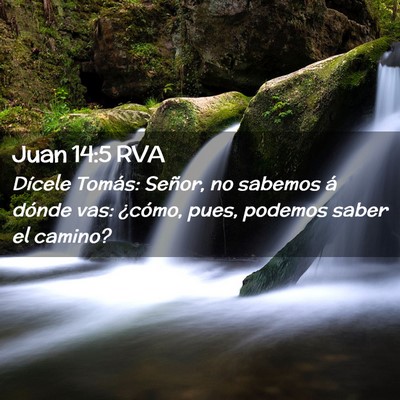 Picture 02 - Juan 14:5 RVA - Dícele Tomás: Señor, no sabemos á dónde vas: - Bible Verse Picture