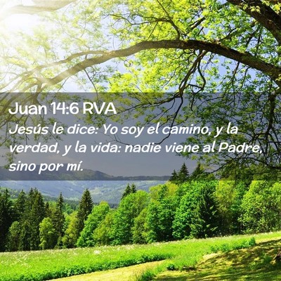 Picture 02 - Juan 14:6 RVA - Jesús le dice: Yo soy el camino, y la verdad, y - Bible Verse Picture