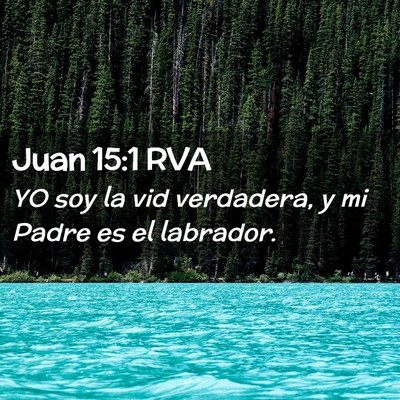 Picture 02 - Juan 15:1 RVA - YO soy la vid verdadera, y mi Padre es el - Bible Verse Picture