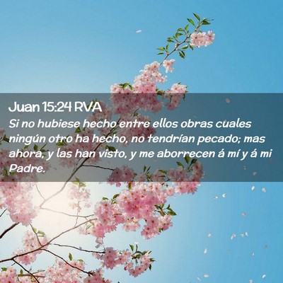 Picture 02 - Juan 15:24 RVA - Si no hubiese hecho entre ellos obras cuales - Bible Verse Picture