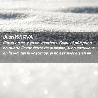 Picture 02 - Juan 15:4 RVA - Estad en mí, y yo en vosotros. Como el pámpano - Bible Verse Picture