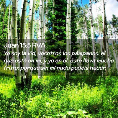 Picture 02 - Juan 15:5 RVA - Yo soy la vid, vosotros los pámpanos: el que - Bible Verse Picture