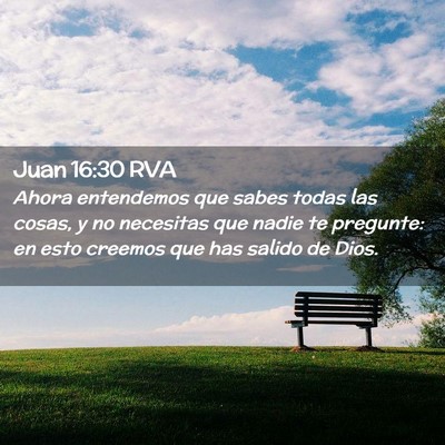 Picture 02 - Juan 16:30 RVA - Ahora entendemos que sabes todas las cosas, y no - Bible Verse Picture