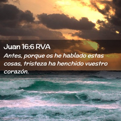 Picture 02 - Juan 16:6 RVA - Antes, porque os he hablado estas cosas, tristeza - Bible Verse Picture