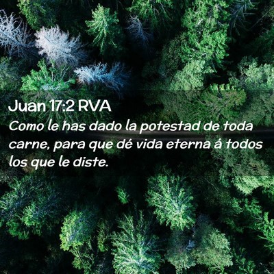 Picture 02 - Juan 17:2 RVA - Como le has dado la potestad de toda carne, para - Bible Verse Picture