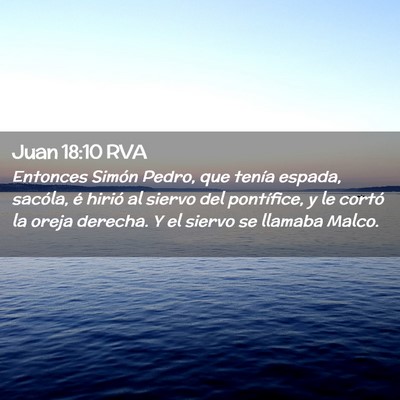 Picture 02 - Juan 18:10 RVA - Entonces Simón Pedro, que tenía espada, - Bible Verse Picture