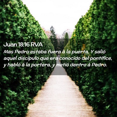Picture 02 - Juan 18:16 RVA - Mas Pedro estaba fuera á la puerta. Y salió - Bible Verse Picture