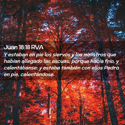Picture 02 - Juan 18:18 RVA - Y estaban en pie los siervos y los ministros que - Bible Verse Picture
