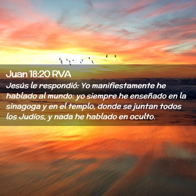 Picture 02 - Juan 18:20 RVA - Jesús le respondió: Yo manifiestamente he - Bible Verse Picture
