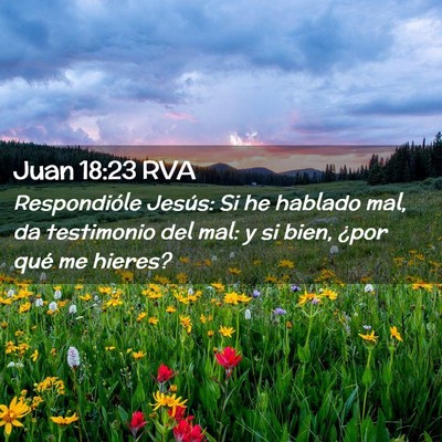 Picture 02 - Juan 18:23 RVA - Respondióle Jesús: Si he hablado mal, da - Bible Verse Picture