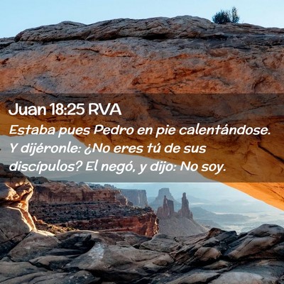 Picture 02 - Juan 18:25 RVA - Estaba pues Pedro en pie calentándose. Y - Bible Verse Picture
