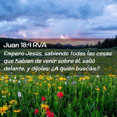 Picture 02 - Juan 18:4 RVA - Empero Jesús, sabiendo todas las cosas que - Bible Verse Picture