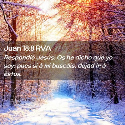 Picture 02 - Juan 18:8 RVA - Respondió Jesús: Os he dicho que yo soy: pues - Bible Verse Picture
