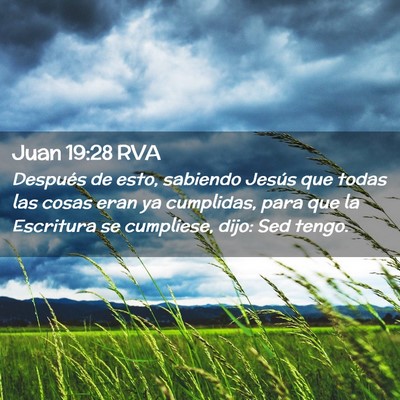 Picture 02 - Juan 19:28 RVA - Después de esto, sabiendo Jesús que todas las - Bible Verse Picture