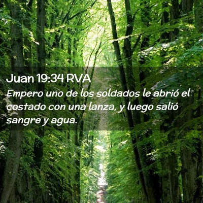 Picture 02 - Juan 19:34 RVA - Empero uno de los soldados le abrió el costado - Bible Verse Picture