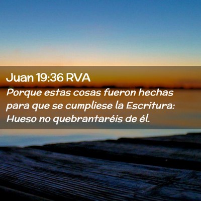 Picture 02 - Juan 19:36 RVA - Porque estas cosas fueron hechas para que se - Bible Verse Picture